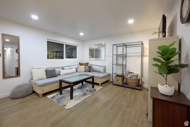 living room featuring wood finished floors, baseboards, and recessed lighting