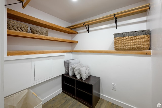 walk in closet featuring dark wood-type flooring