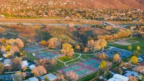 bird's eye view
