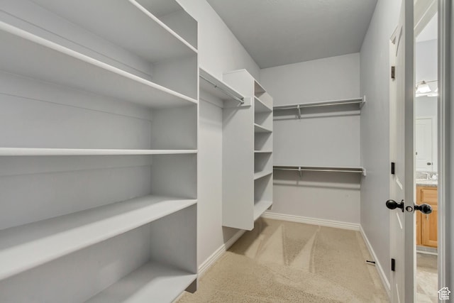 1184 W Michaelsen, West Jordan, UT 84088 - spacious closet featuring carpet