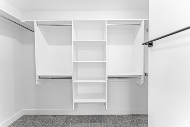 3759 W 950 N Unit 376, Lehi, UT 84043 - walk in closet featuring carpet flooring