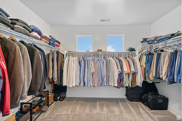 15097 S Cantle Dr, Bluffdale, UT 84065 - walk in closet with carpet flooring