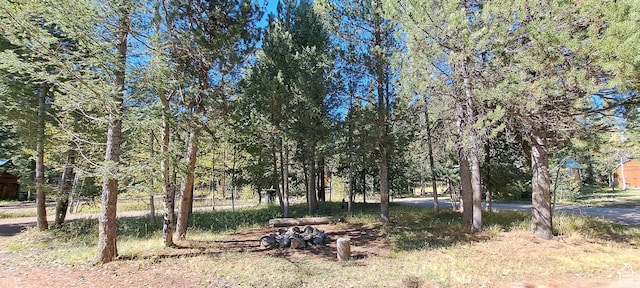 3526 Browning Rd, Island Park, ID 83429 - view of landscape