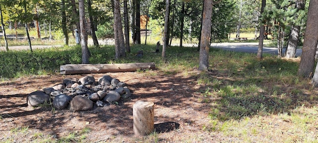 3526 Browning Rd, Island Park, ID 83429 - view of yard