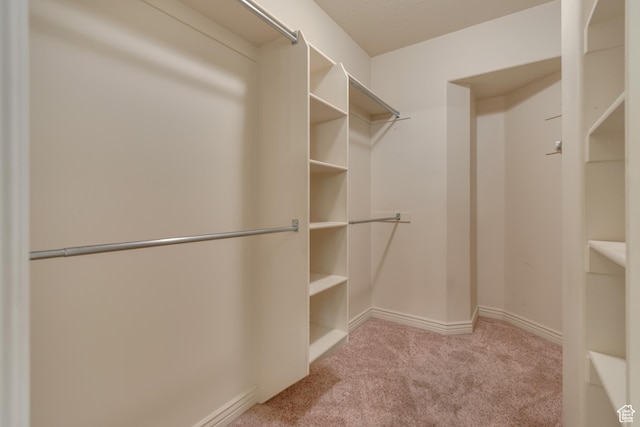 spacious closet featuring carpet floors