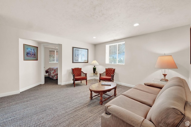 3674 N Willow Brooke Ln, Eden, UT 84310 - carpeted living area with baseboards, recessed lighting, and a textured ceiling