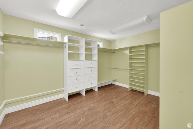 spacious closet featuring light wood finished floors and visible vents