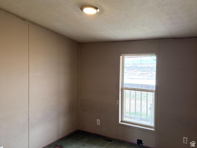 2445 N 260 W, Elmo, UT 84521 - carpeted spare room featuring a textured ceiling, a wealth of natural light, and visible vents
