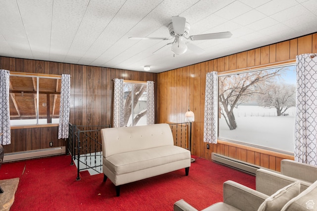 377 E Shore Rd, Saint Charles, ID 83272 - sitting room featuring carpet flooring, baseboard heating, and plenty of natural light