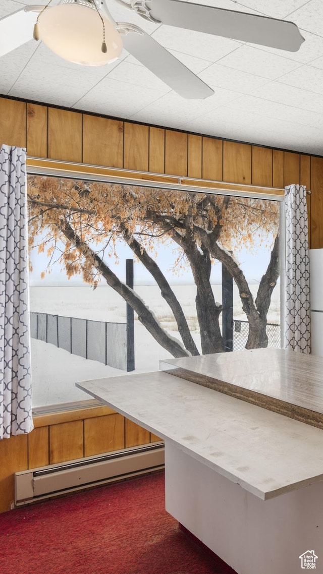 377 E Shore Rd, Saint Charles, ID 83272 - interior details featuring a baseboard radiator, carpet, and a ceiling fan
