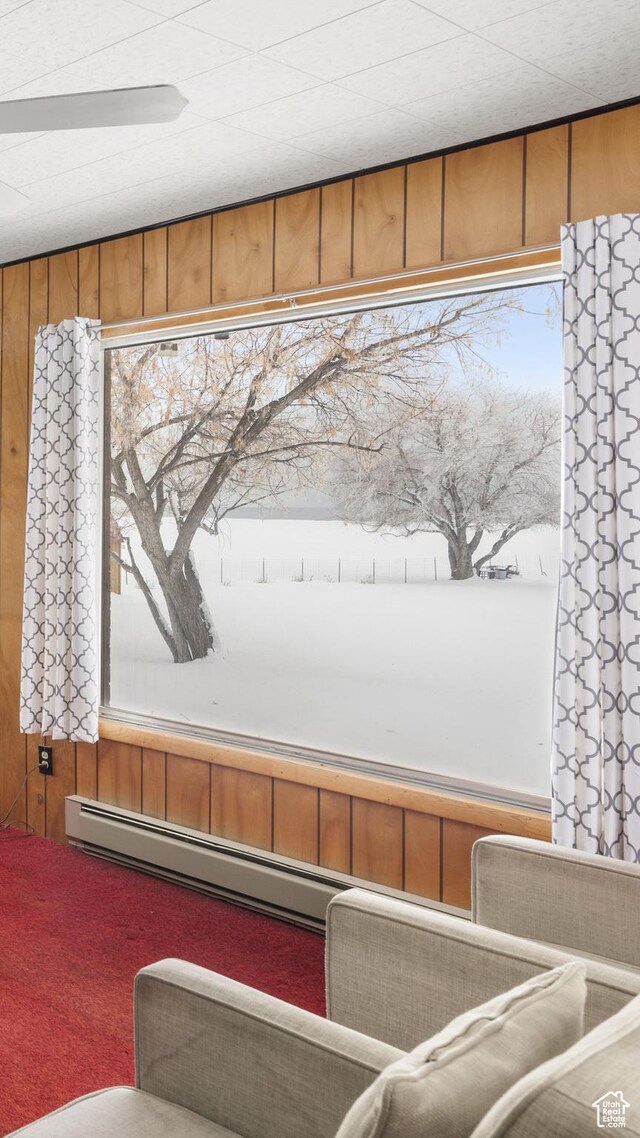 377 E Shore Rd, Saint Charles, ID 83272 - room details featuring carpet floors and a baseboard radiator