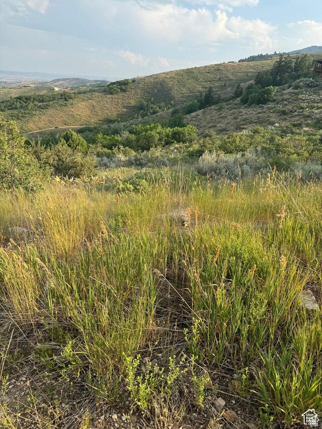 267 Juniper Dr, Fish Haven, ID 83287