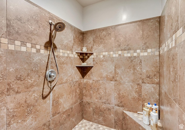 546 S Quirk St, Grantsville, UT 84029 - full bathroom with tiled shower