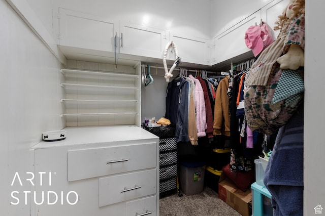 2209 Van Buren Ave, Ogden, UT 84401 - spacious closet with carpet