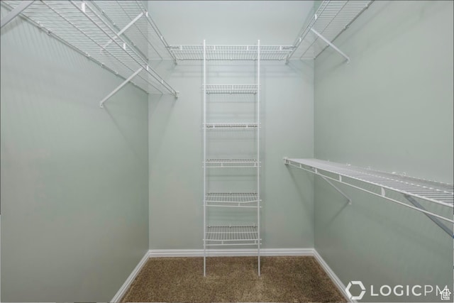 spacious closet featuring carpet floors