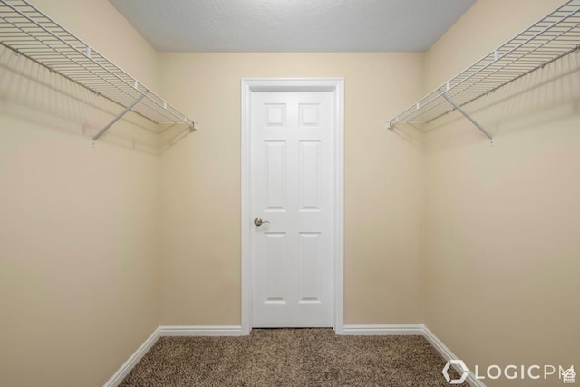 spacious closet featuring carpet