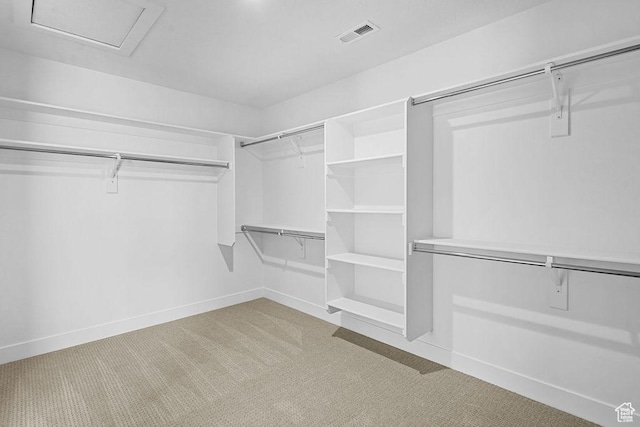 3666 W 2110 S Unit 103, Syracuse, UT 84075 - walk in closet with visible vents and light carpet