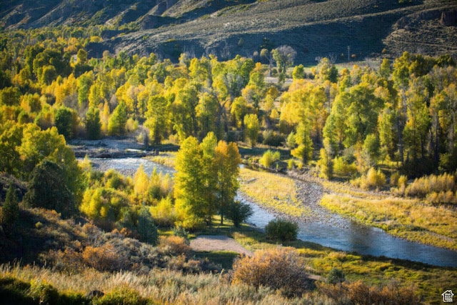 7457 E Stardust Ct Unit 311B, Heber City, UT 84032 - birds eye view of property with a water view and a forest view