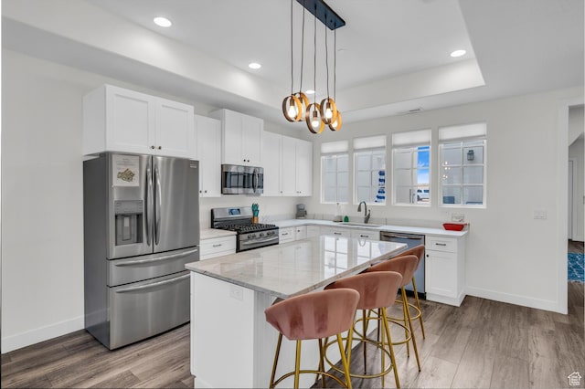 4301 W Canterbury Rd, Hurricane, UT 84737 - kitchen featuring a sink, appliances with stainless steel finishes, a tray ceiling, and wood finished floors