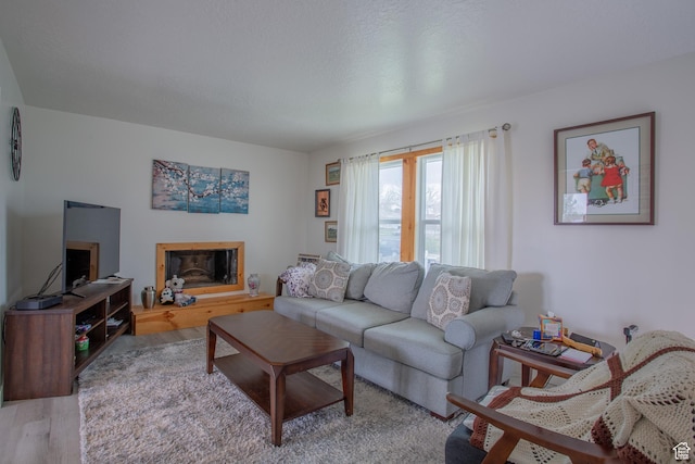 6100 W 3725 S, West Valley City, UT 84128 - living area with wood finished floors