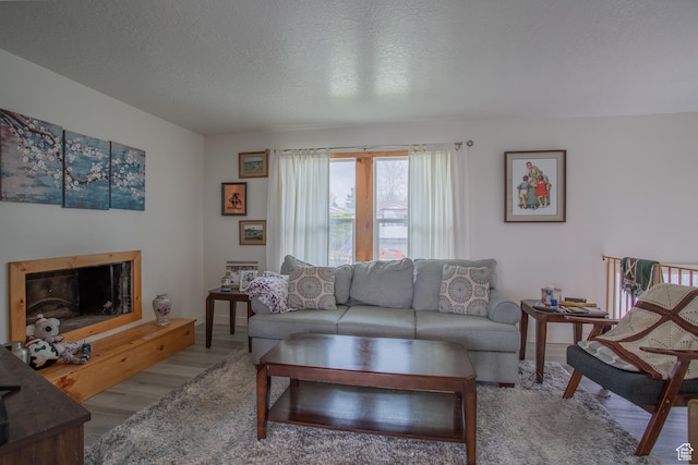 6100 W 3725 S, West Valley City, UT 84128 - living area featuring wood finished floors, a glass covered fireplace, and a textured ceiling