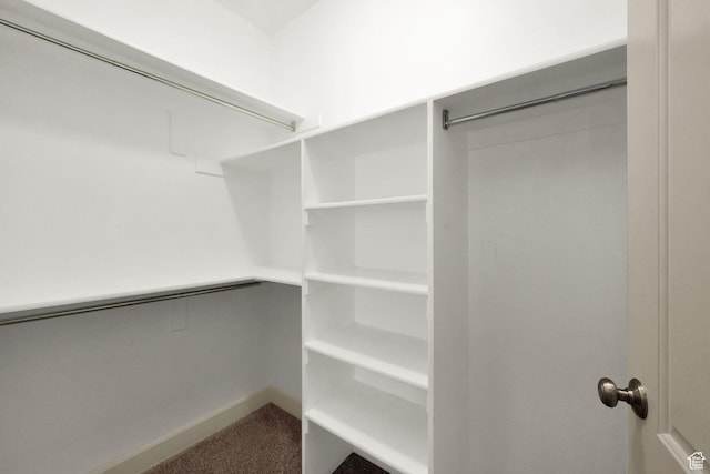 982 W 960 N Unit 116, Orem, UT 84057 - spacious closet with carpet