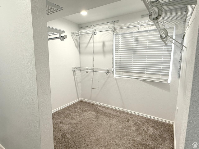 walk in closet with carpet