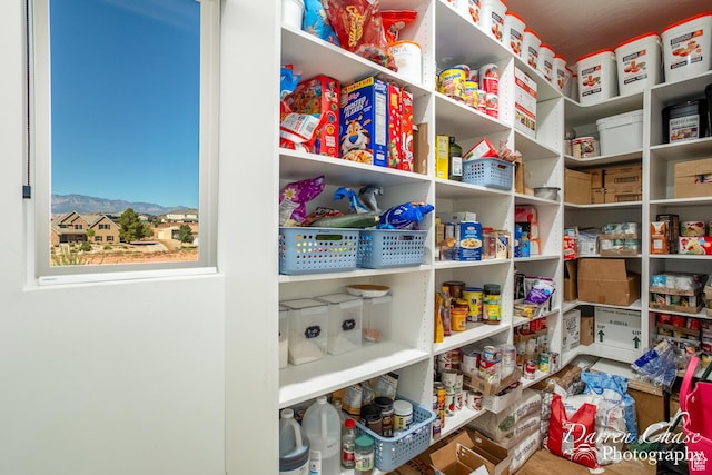 3169 S Pecos Dr, Washington, UT 84780 - view of storage area