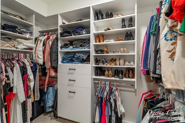 3169 S Pecos Dr, Washington, UT 84780 - view of spacious closet