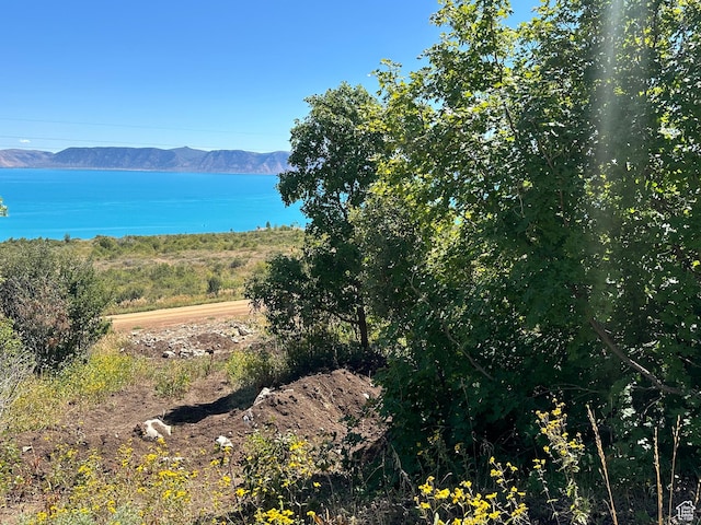 1197 N Trapper Loop Unit Rv 61, Garden City, UT 84028