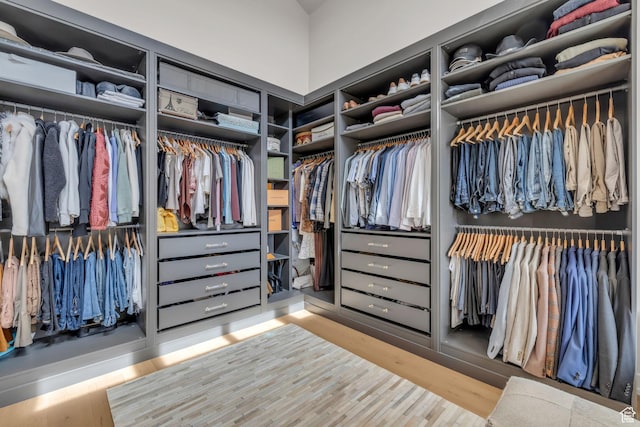 spacious closet featuring wood finished floors