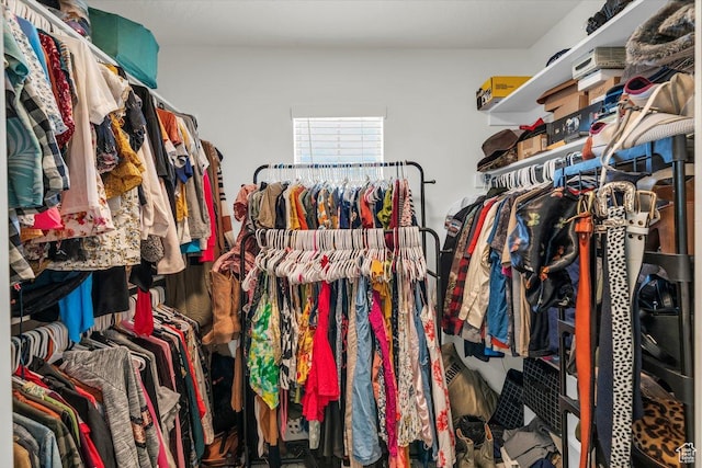 view of walk in closet