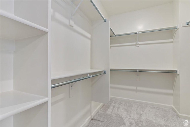 walk in closet featuring carpet flooring