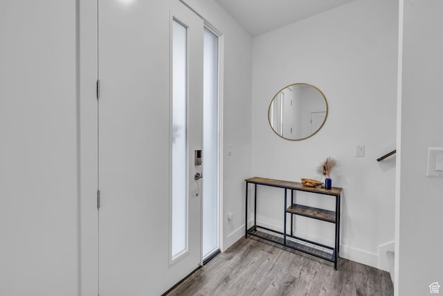 entrance foyer featuring baseboards and wood finished floors