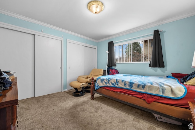 carpeted bedroom with multiple closets and crown molding