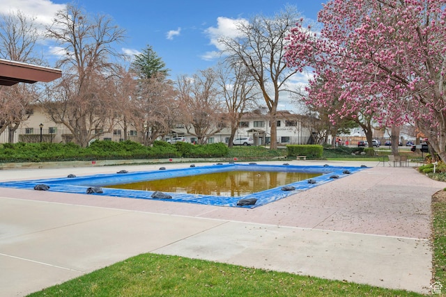 view of swimming pool with a residential view