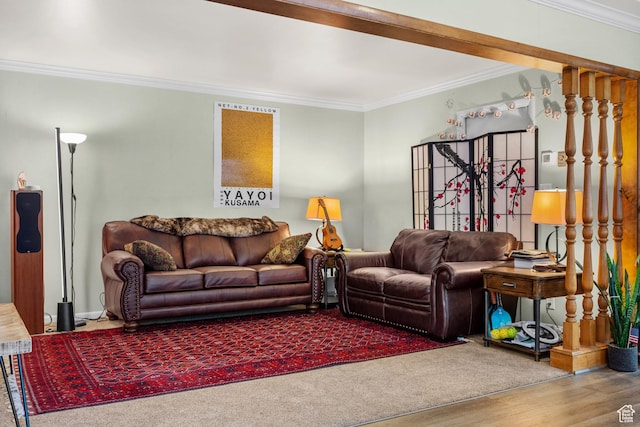 living area featuring crown molding and wood finished floors