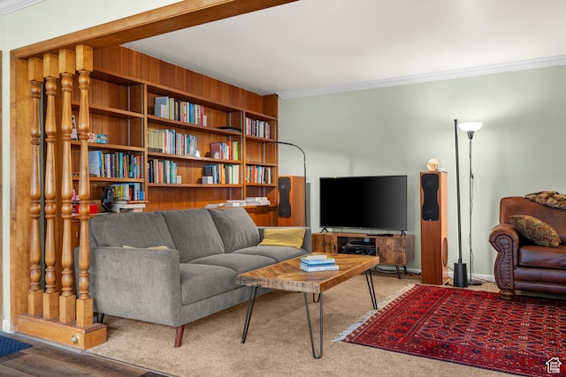 living room with crown molding