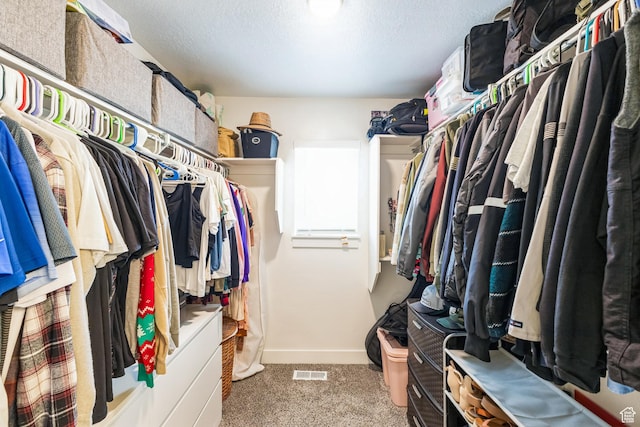 917 W 1000 N Unit 6, Tremonton, UT 84337 - spacious closet with carpet floors and visible vents