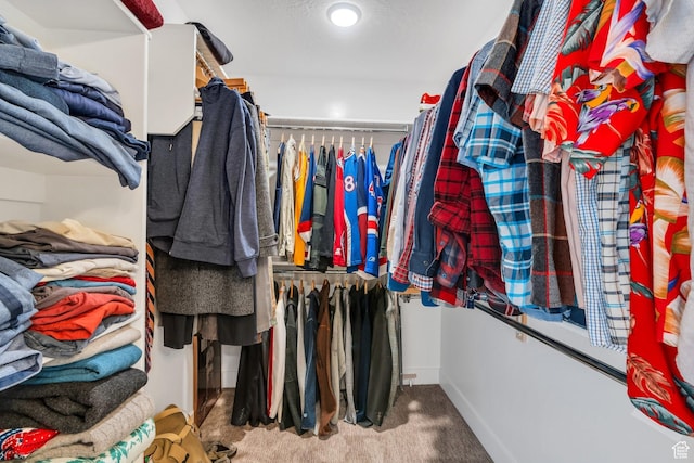 spacious closet featuring carpet flooring