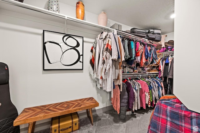 274 S Hayes Well Ln, Saratoga Springs, UT 84045 - spacious closet with carpet flooring