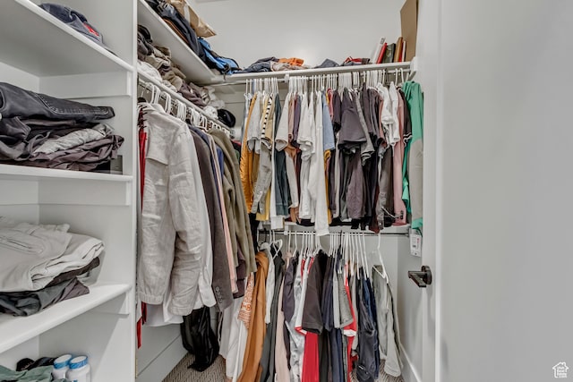 view of spacious closet