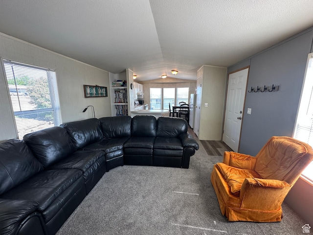 3068 S Monarch Cir Unit 343, Garden City, UT 84028 - living area featuring vaulted ceiling, carpet flooring, and a textured ceiling