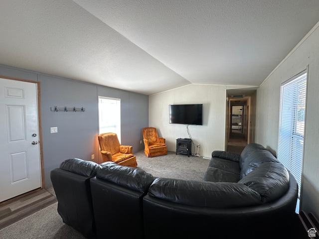 3068 S Monarch Cir Unit 343, Garden City, UT 84028 - living area featuring lofted ceiling, plenty of natural light, carpet floors, and a textured ceiling