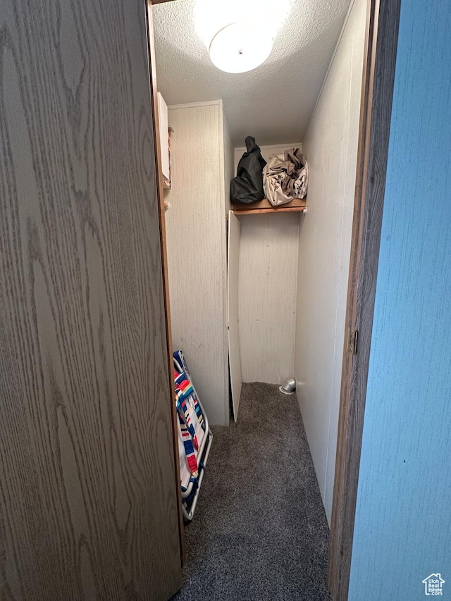 3068 S Monarch Cir Unit 343, Garden City, UT 84028 - walk in closet with carpet