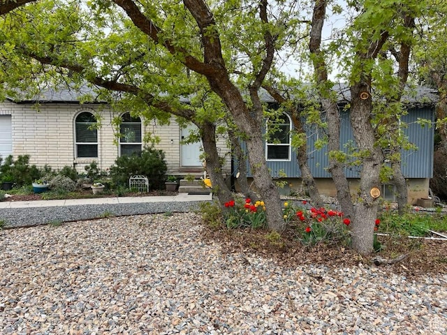 1213 N Winston Dr, Kaysville, UT 84037 - view of property hidden behind natural elements