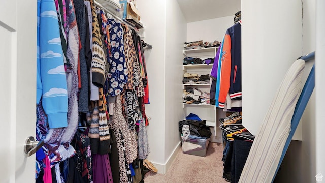 7756 W Bellfield Rd, Magna, UT 84044 - walk in closet with carpet floors