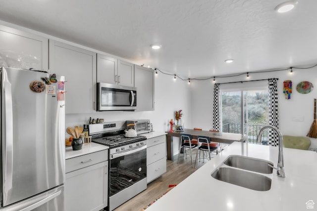 kitchen featuring light countertops, light wood-style flooring, stainless steel appliances, a sink, and gray cabinetry