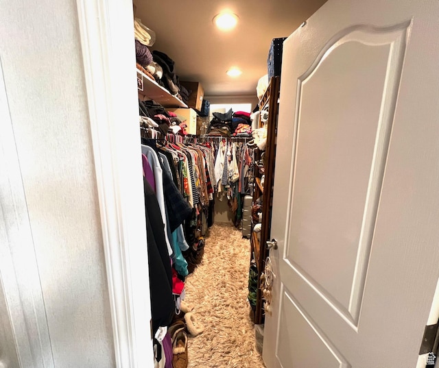 3203 S Nina Loop, Garden City, UT 84028 - walk in closet featuring carpet floors