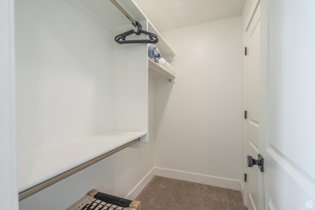 5399 S Cerulean Ln Unit 95, St George, UT 84790 - walk in closet featuring carpet floors